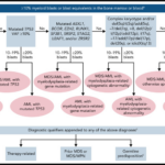 The current image has no alternative text. The file name is: EP1-ALANsummit-AML-classification.png