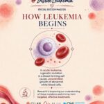 The current image has no alternative text. The file name is: Inight-Leukemia-How-Leukemia-Begins.jpg